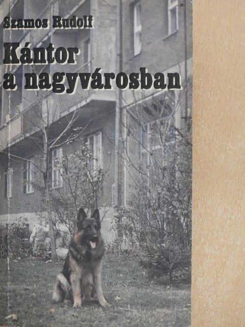 Szamos Rudolf - Kántor a nagyvárosban [antikvár]