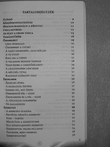 Pető Csilla - Lélekcsillámok (dedikált példány) [antikvár]