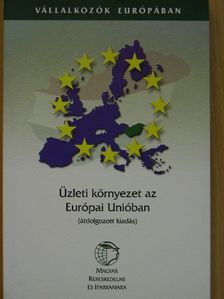 Dr. Törzsök Éva - Üzleti környezet az Európai Unióban [antikvár]