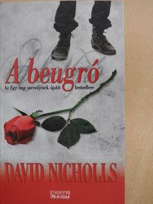 David Nicholls - A beugró [antikvár]