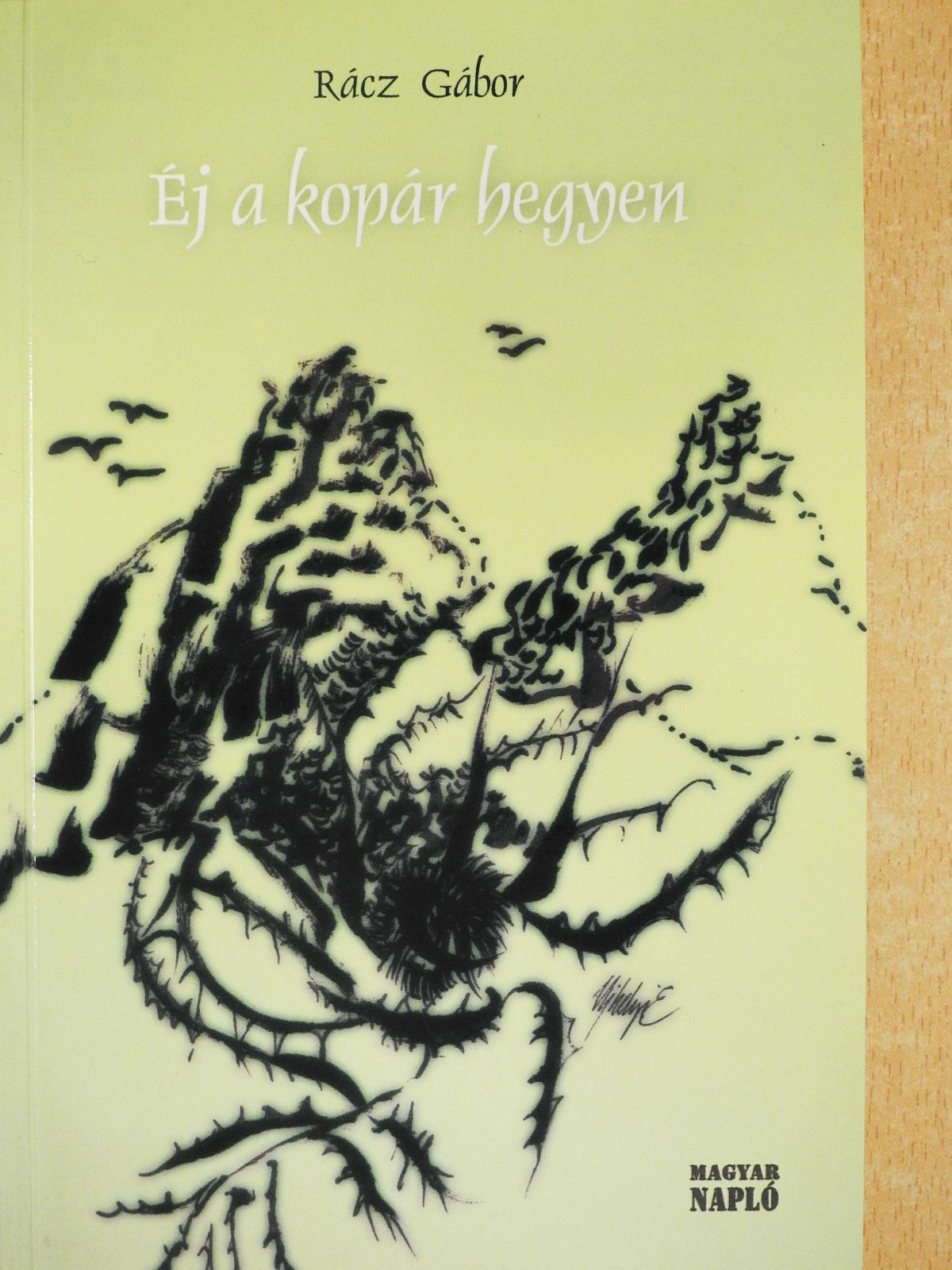 Rácz Gábor - Éj a kopár hegyen (dedikált példány) [antikvár]