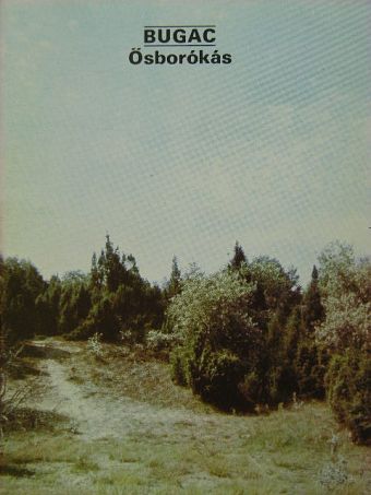 Tölgyesi István - Bugac - Ősborókás [antikvár]