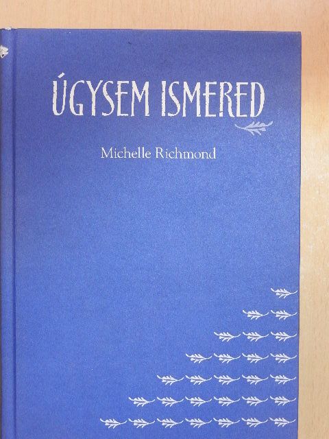 Michelle Richmond - Úgysem ismered [antikvár]