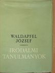 Waldapfel József - Irodalmi tanulmányok [antikvár]