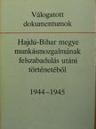 Válogatott dokumentumok Hajdú-Bihar megye munkásmozgalmának felszabadulás utáni történetéből [antikvár]