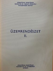 Üzemrendészet II. [antikvár]