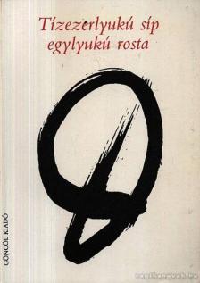 Pető Tóth Károly - Tízezerlyukú síp egylyukú rosta [antikvár]