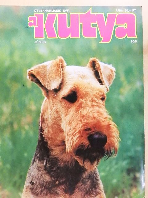 Bősz József - A Kutya 1990. június [antikvár]