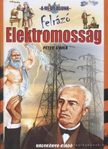 Péter Gyula - Felrázó elektromosság [antikvár]