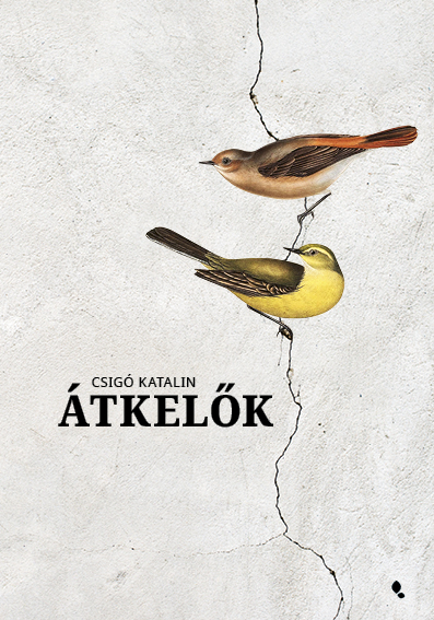 Csigó Katalin - Átkelők [eKönyv: epub, mobi]