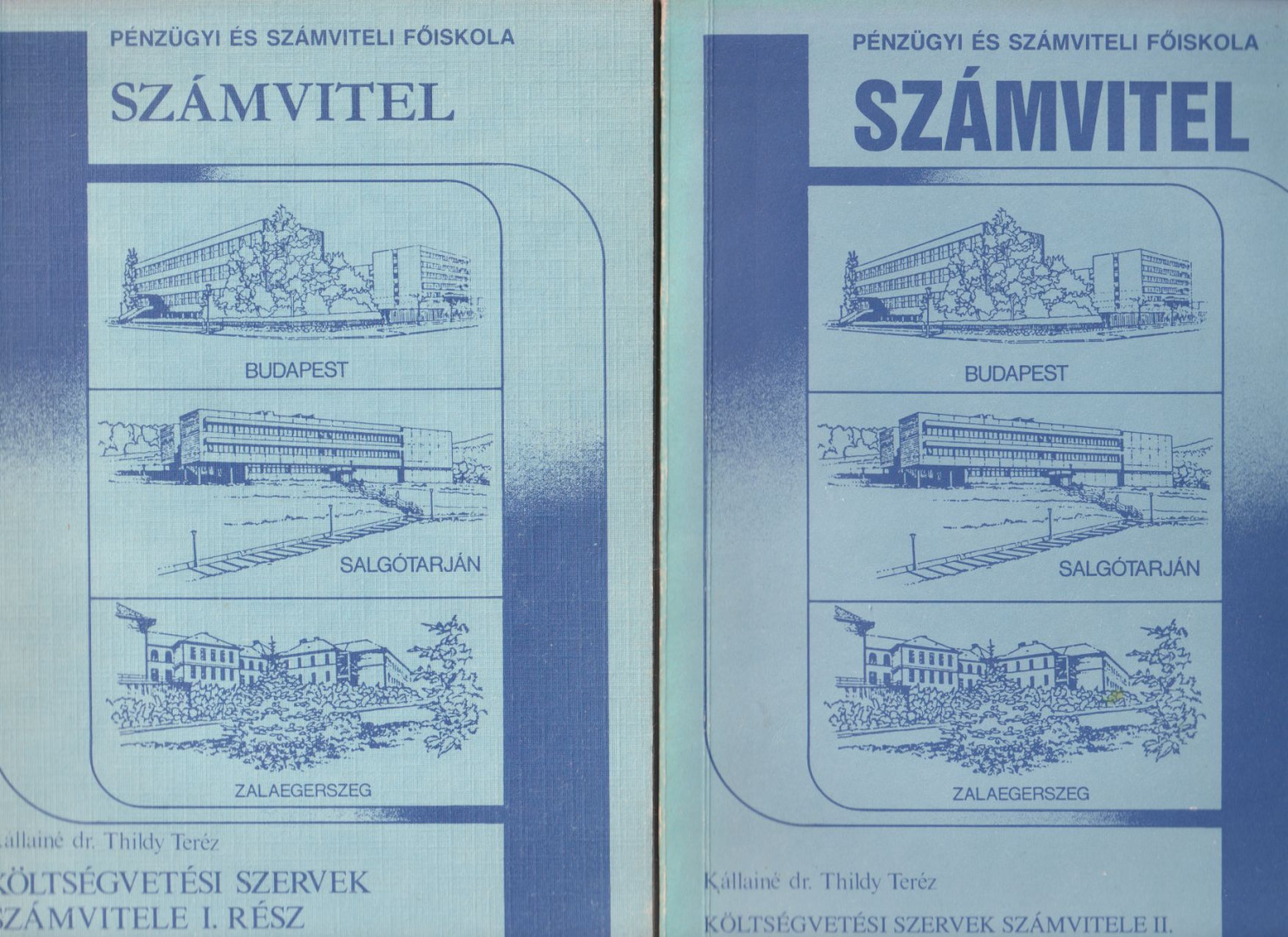 Kállainé dr. Thildy Teréz - Költségvetési szervek számvitele I-II. [antikvár]
