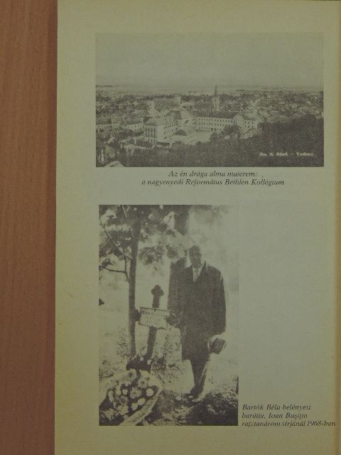 Kun József - Belényes, te drága [antikvár]