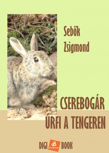 Sebők Zsigmond - Cserebogár úrfi a tengeren [eKönyv: epub, mobi]