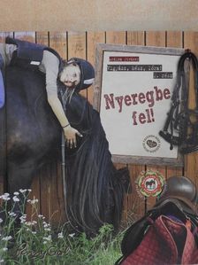Ardina Strüwer - Nyeregbe fel! [antikvár]