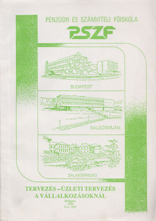 Dr. Pálfalvi Sarolta - Tervezés-üzleti tervezés a vállalkozásoknál [antikvár]