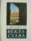 Cseres Tibor - A kétszázötven éves Békéscsaba (minikönyv) [antikvár]