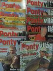 Andy Chambers - Pontyvilág 2010. (nem teljes évfolyam) [antikvár]