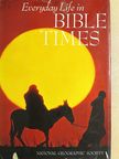 A. Douglas Tushingham - Everyday Life in Bible Times [antikvár]