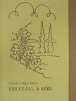 Szent-Gály Kata - Felszáll a köd [antikvár]