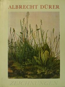 Lubos Hlavácek - Albrecht Dürer [antikvár]