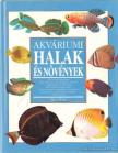 Sarkadi Péter (szerk.) - Akváriumi halak és növények [antikvár]