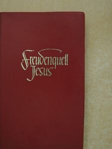 M. Basilea Schlink - Freudenquell Jesus [antikvár]