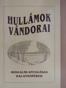 Hullámok vándorai [antikvár]