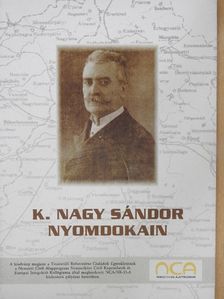 K. Nagy Sándor - K. Nagy Sándor nyomdokain [antikvár]
