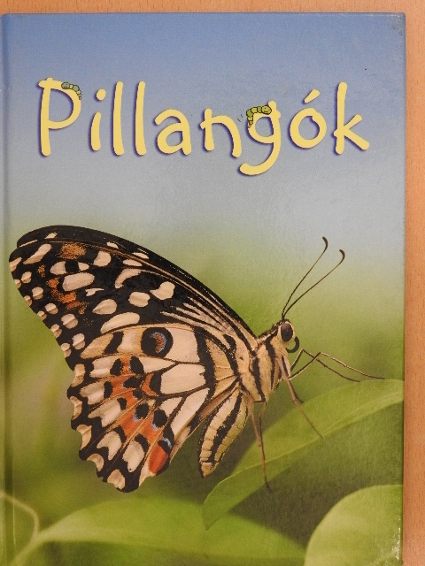Stephanie Turnbull - Pillangók [antikvár]