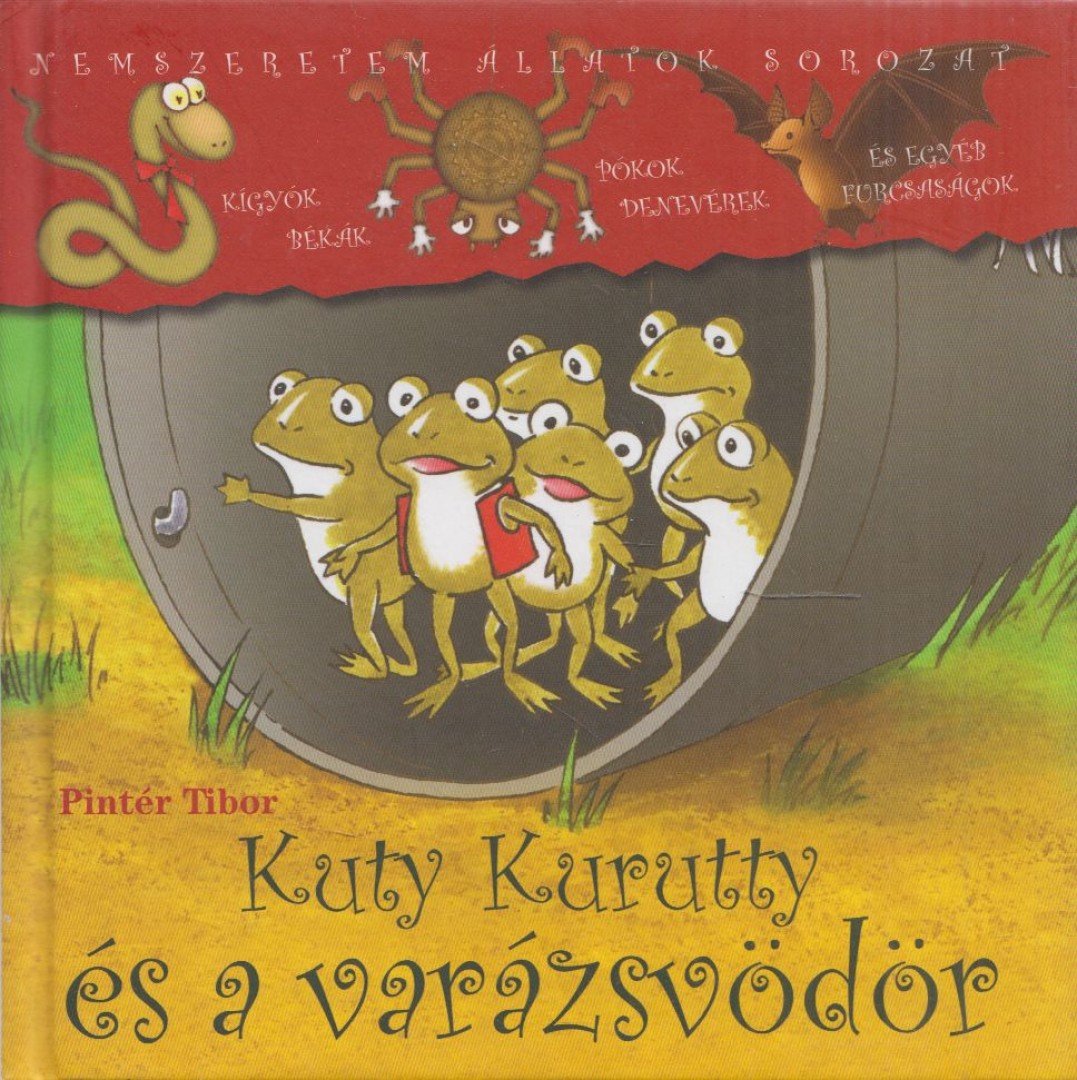 Pintér Tibor - Kuty Kurutty és a varázsvödör [antikvár]
