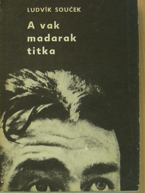 Ludvik Soucek - A vak madarak titka [antikvár]