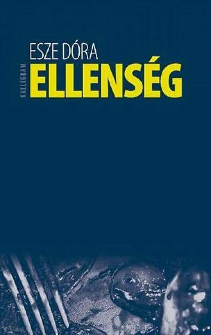 Esze Dóra - Ellenség [antikvár]