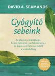 A. Seamands David - Gyógyító sebeink [eKönyv: epub, mobi]