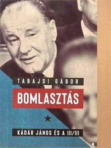Ablonczy Balázs - Bomlasztás [antikvár]