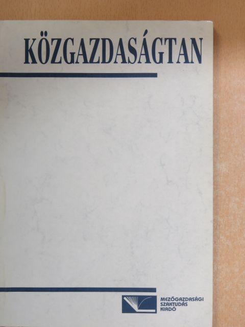 Bernáth Miklós - Közgazdaságtan [antikvár]