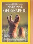 Bill Curtsinger - National Geographic April 1998 [antikvár]