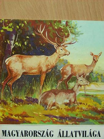 Mihályi Ferenc - Vezető a Természettudományi Múzeum Magyarország Állatvilága kiállításához [antikvár]