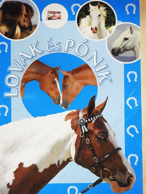 Krajnik Bíró Sára - Lovak és pónik [antikvár]