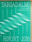 B. Kis Anna - Társadalmi riport 2016 [antikvár]