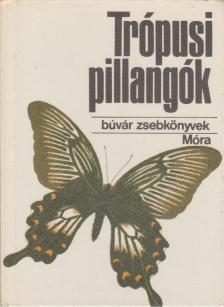 Mészáros Zoltán - Trópusi pillangók [antikvár]
