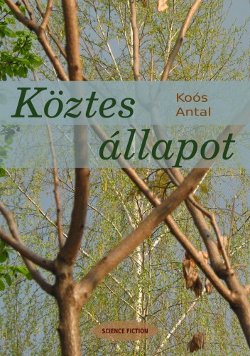 Antal Koós - Köztes állapot [eKönyv: epub, mobi]