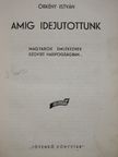 Beamter Jenő - Amig idejutottunk [antikvár]