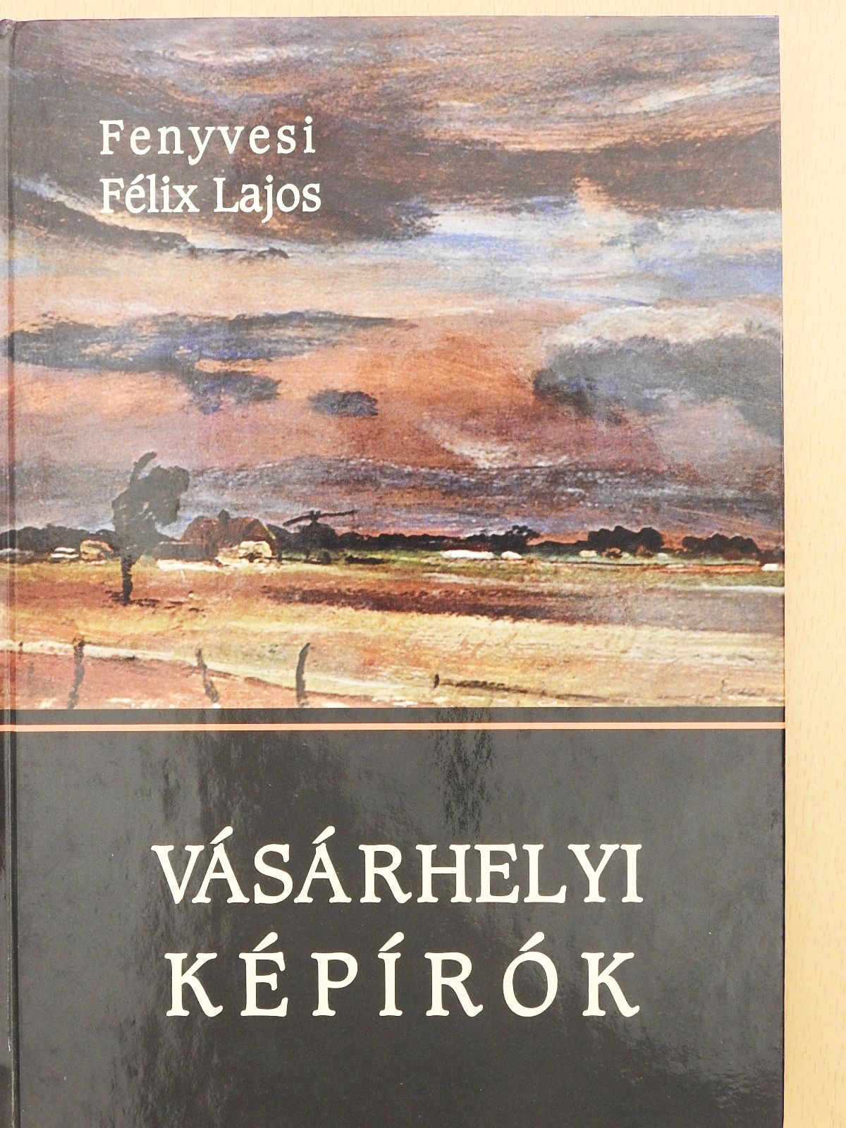 Fenyvesi Félix Lajos - Vásárhelyi képírók (dedikált példány) [antikvár]