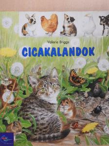 Edith Jentner - Cicakalandok [antikvár]