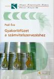 Paál Éva - Gyakorlófüzet a számvitelszervezéshez [antikvár]