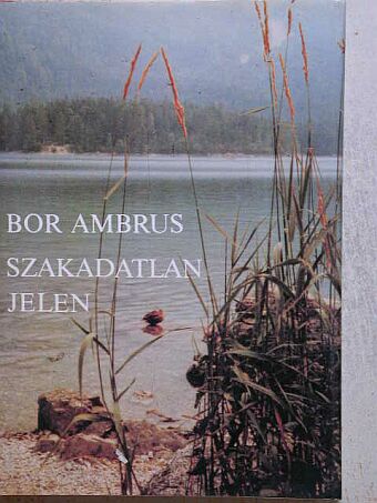 Bor Ambrus - Szakadatlan jelen [antikvár]