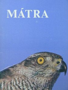 Kovácsné Földessy Mariann - Mátra [antikvár]