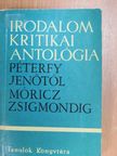 Ady Endre - Irodalomkritikai antológia II. [antikvár]
