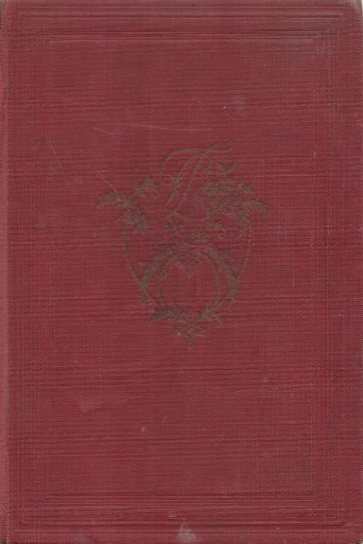 Allary, Jean - Minden fény kihal [antikvár]