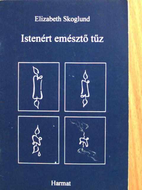 Elizabeth Skoglund - Istenért emésztő tűz [antikvár]